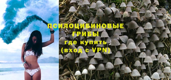 прущие крисы Аркадак