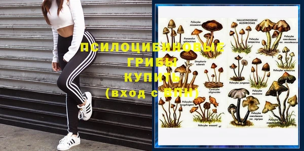 мяу мяу кристалл Арсеньев