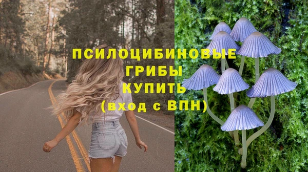 прущие крисы Аркадак
