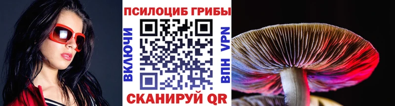 купить наркоту  Солнечногорск  Галлюциногенные грибы Cubensis 